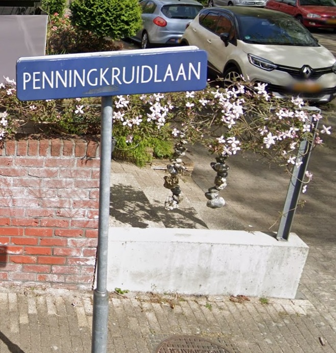 Penningkruidlaan straatnaambord.jpg