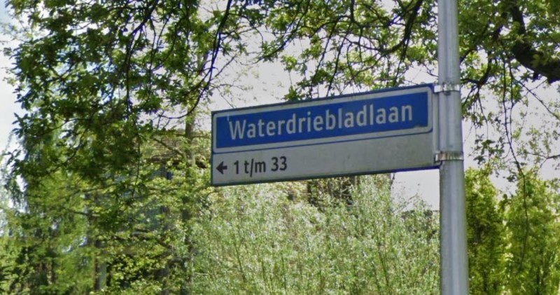 Waterdriebladlaan straatnaambord.jpg