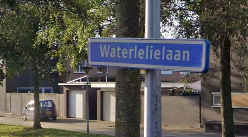 Waterlelielaan straatnaambord.jpg