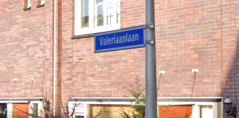 Valeriaanlaan straatnaambord.jpg