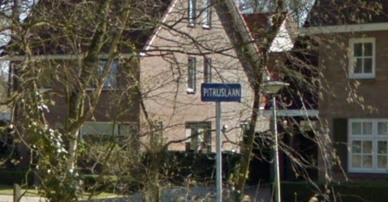 Pitruslaan straatnaambord.jpg