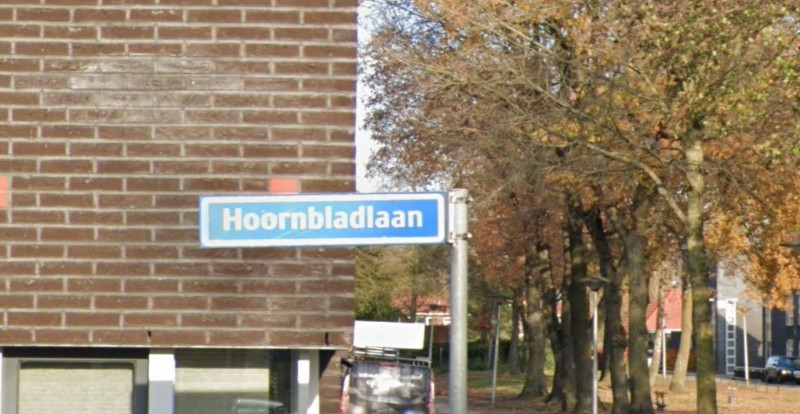 Hoornbladlaan straatnaambord.jpg