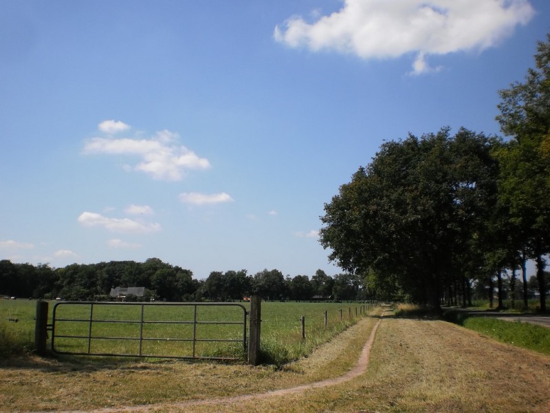 Wiefkerpad hoek Oude Deventerweg.jpg