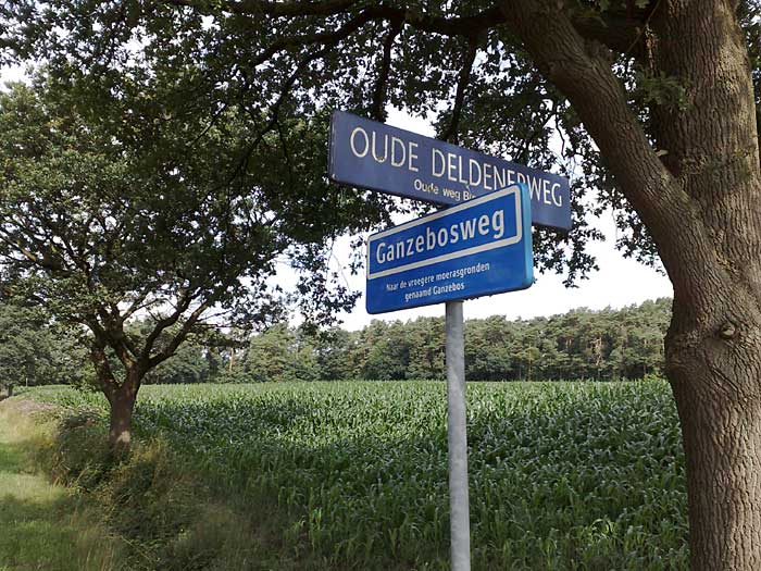 Oude Deldenerweg straatnaambord.jpg