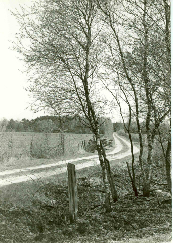 Oude Boekelerdijk Usselerveld - het Rutbeek 1965.jpeg