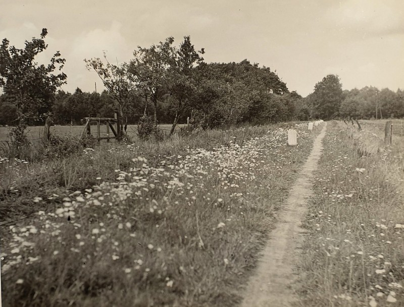 Oude Haaksbergerdijk 1920.jpg