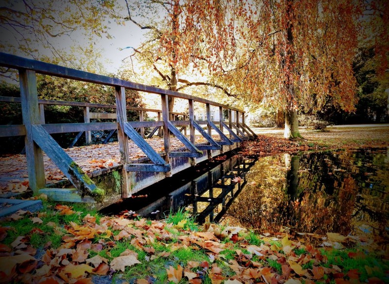 Van Heekpark herfstfoto.jpg