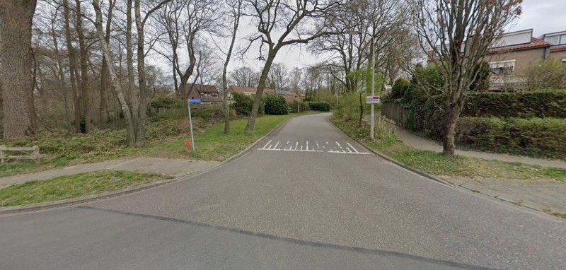 Winkelshorst vanaf Kotkampweg.jpg