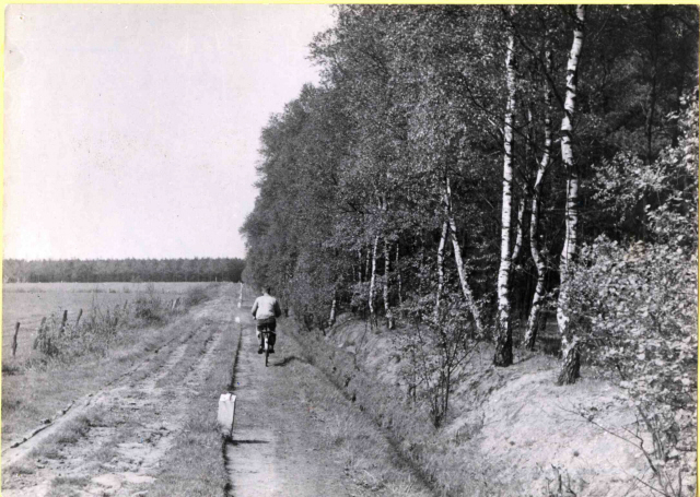 Haagsebosweg Fietser in natuurgebied; Haagsebosweg, zandweg met bos en weilanden 1943.jpeg