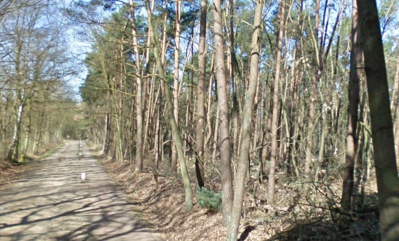 Hartjesbosweg.jpg