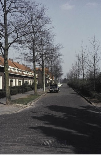 Louis Bothastraat Links een bomenrij met landerijen. jaren 70.jpg