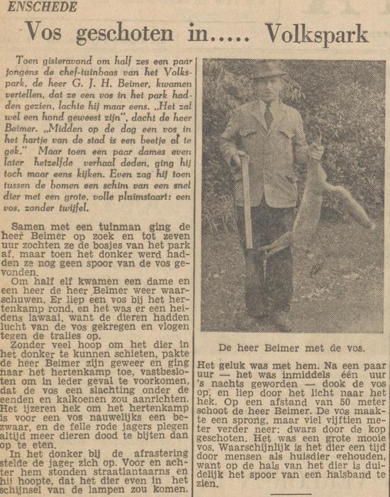 G.J.H. Beimer chef tuinbaas Volkspark krantenbericht Tubantia 2-10-1952.jpg