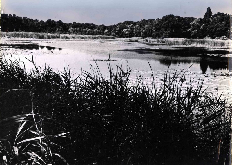 Lonnekermeerweg zicht op het Lonnekermeer. 1980.jpg