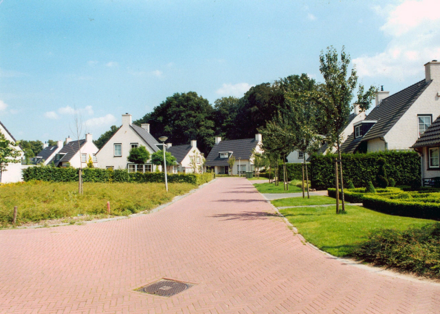 Lonneker Steumke-Straatbeeld met woningen.jpeg