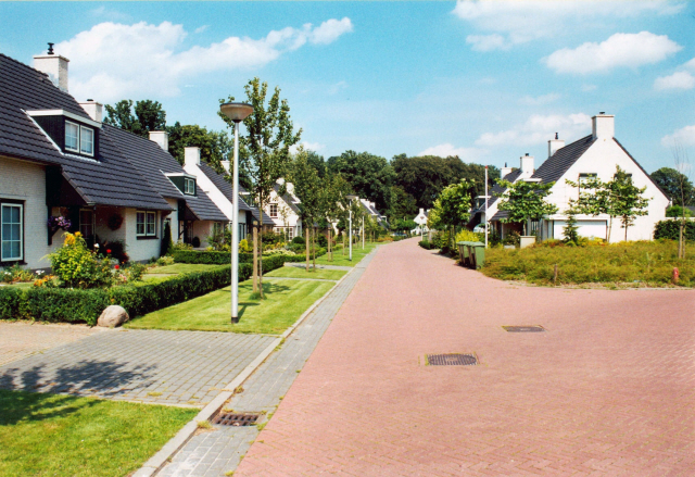 Lonneker Steumke- Straatbeeld met woningen.jpeg