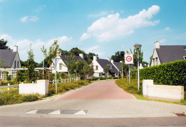 Lonneker Steumke Straatbeeld met woningen.jpeg