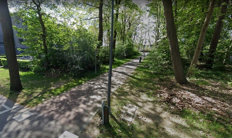 Oude Drienerloweg vanaf Dienstweg.jpg