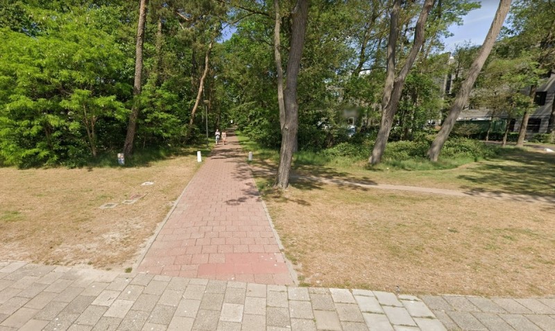 Oude Drienerloweg vanaf Hallenweg.jpg