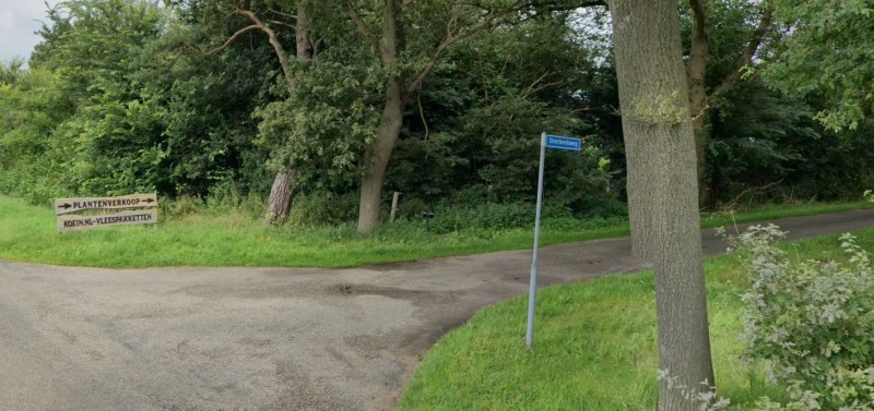 Overbeekweg vanaf Oude Deldenerweg.jpg