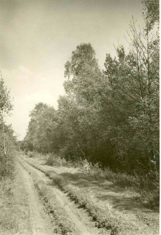 Strootmanweg Zandweg.jpeg