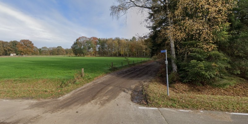 Schaddenhoesweg vanaf de Weerseloseweg.jpg