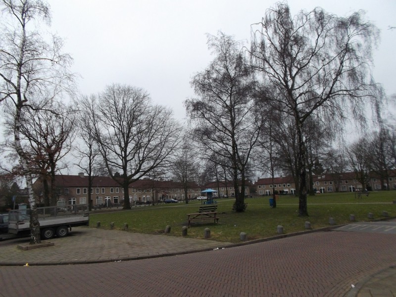 Acaciaplantsoen 27-2-2013.JPG