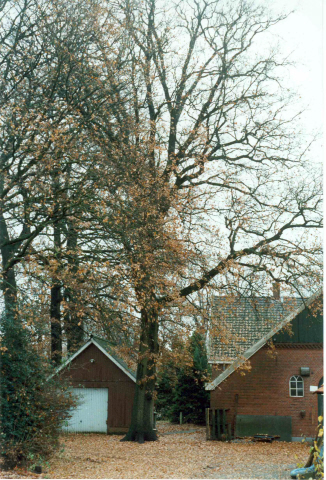 Gronausestraat 636 boerderij Hesselink-Langkamp.jpeg