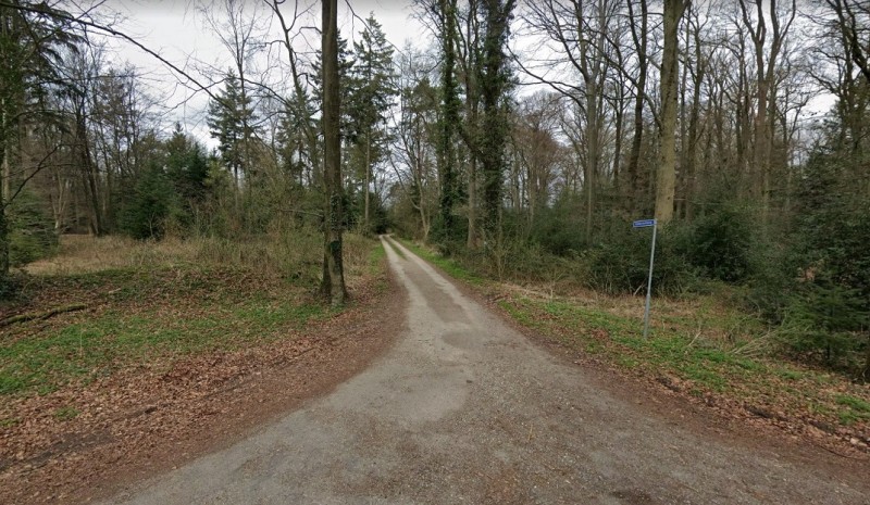 Viekerveldweg vanaf Wallenbeekweg.jpg