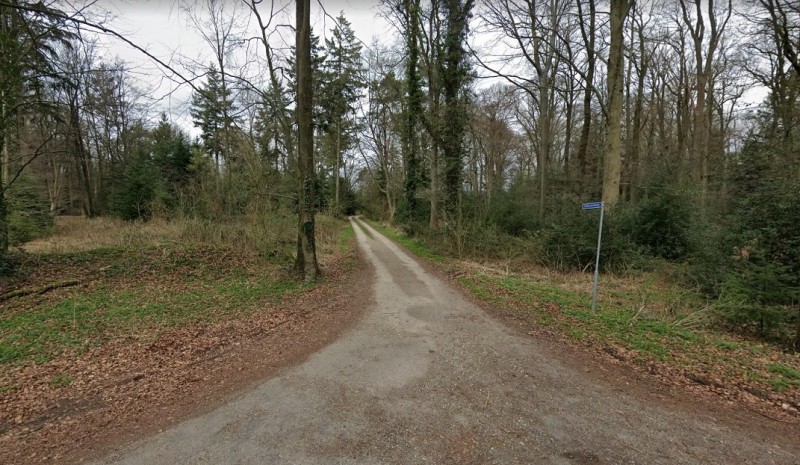 Viekerveldweg vanaf Wallenbeekweg.jpg