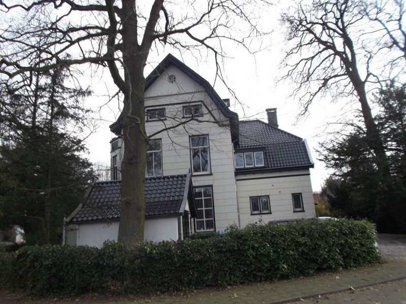 Thorbeckelaan hoek Cort van der Lindenlaan.JPG