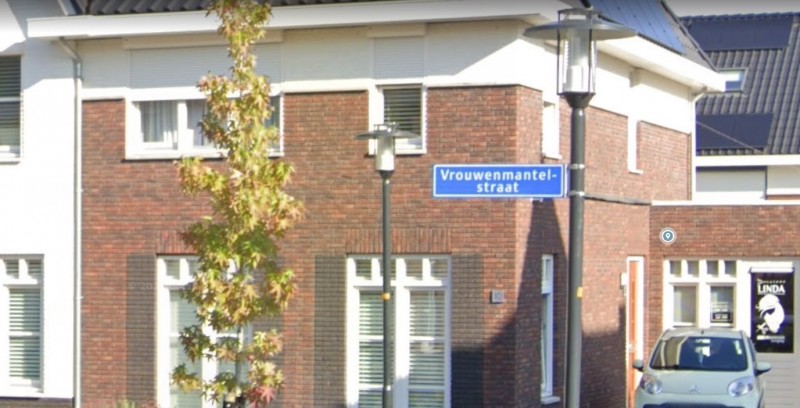 Vrouwenmantelstraat straatnaambord.jpg