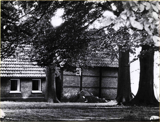 Wallenbeekweg Boerderij 't Walmbekke uitbouw voorgevel 4-6-1965.jpeg