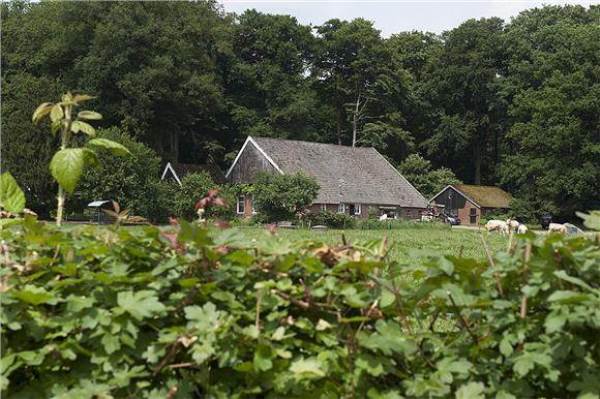 Wallenbeekweg 20.jpg