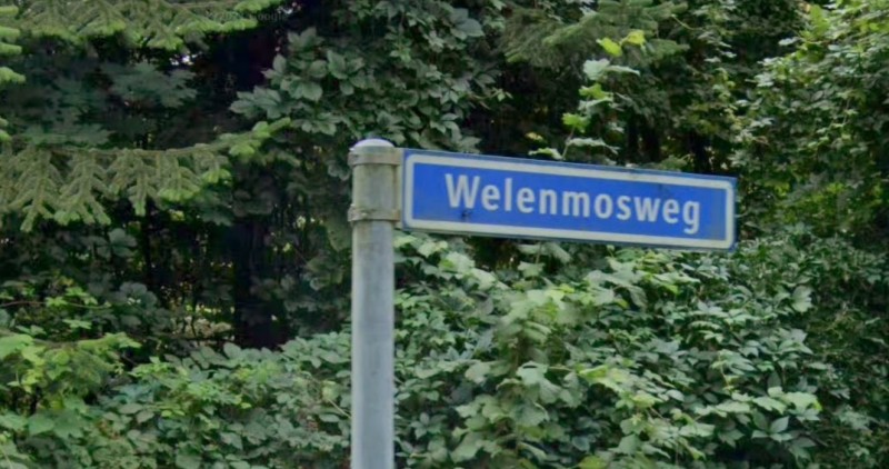 Welenmosweg straatnaambord.jpg