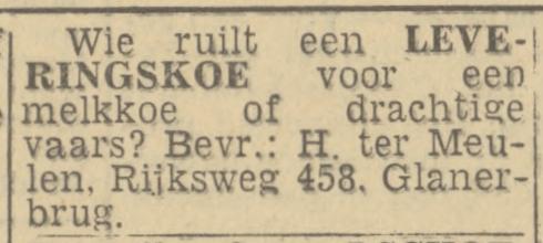 Rijksweg 458 H. ter Meulen advertentie Twentsch nieuwsblad 18-1-1944.jpg