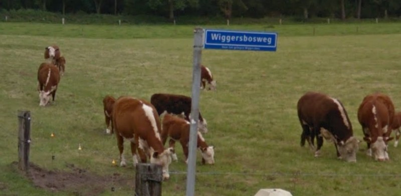 Wiggersbosweg straatnaambord.jpg