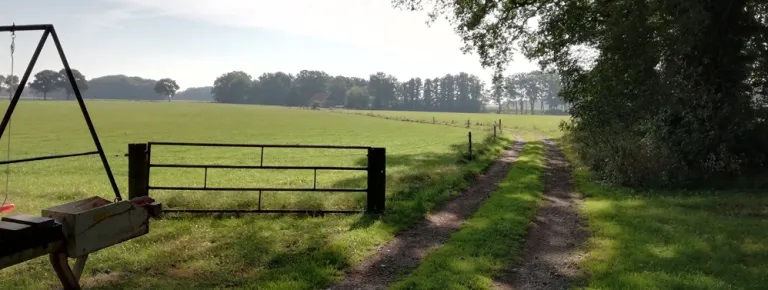 Zuidergrensweg pad naar Duivengoorweg.jpg