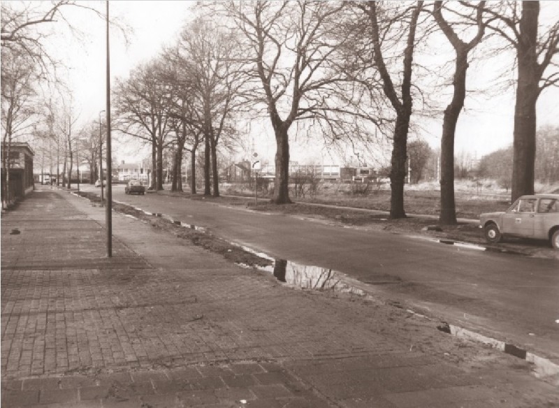 Parkweg 110 Straatbeeld ter hoogte van de fabriek van Gebr. Kooy 1-3-1975.jpg