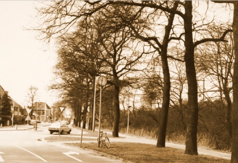 Parkweg 55 hoek Volksparksingel 1982.jpg