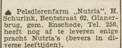 Bentstraat 62 Pelsdierenfarm Nutria H. Schurink advertentie 22-3-1949.jpg