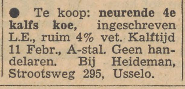 Strootsweg 295 Usselo Heideman advertentie Tubantia 3-2-1954.jpg