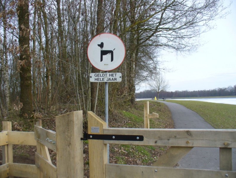 Het Rutbeek Meddelerweg (3).JPG