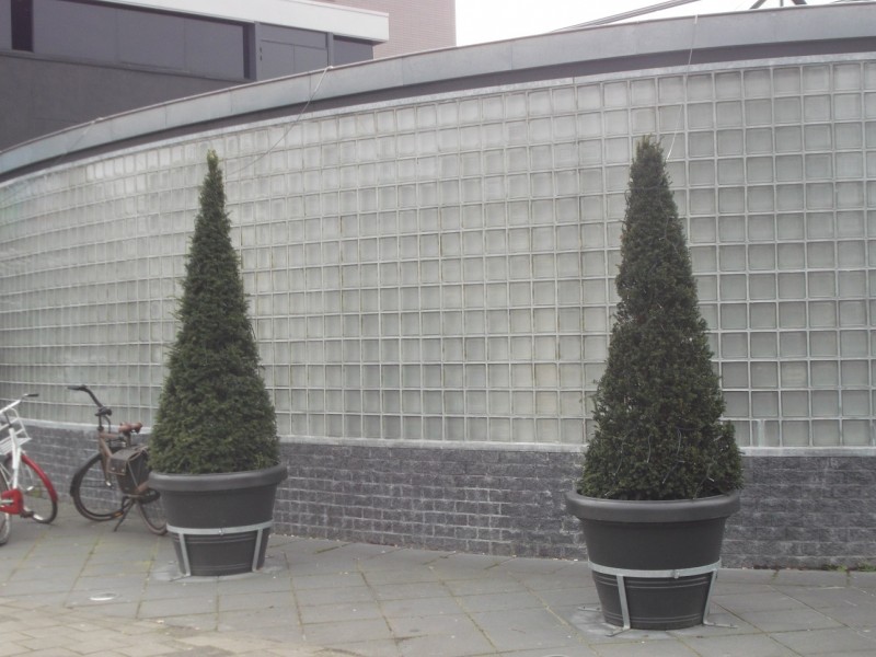 raad de plek.JPG