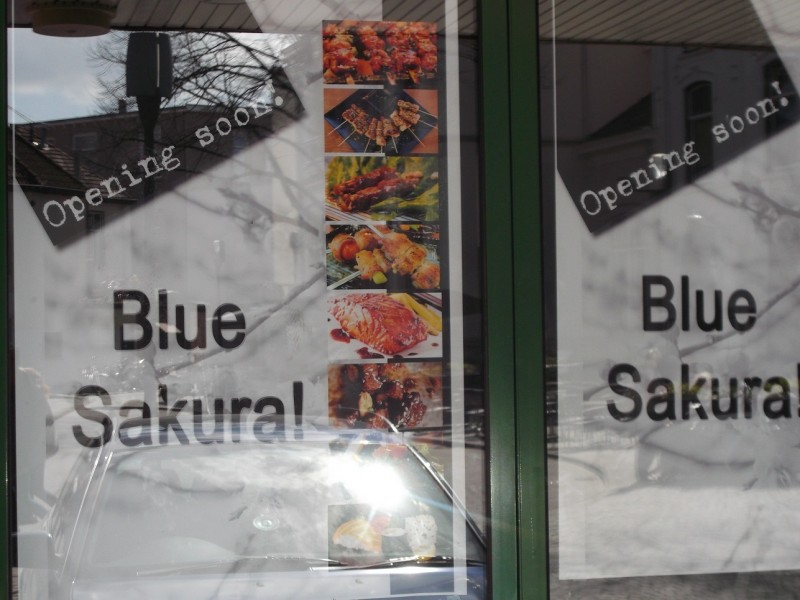 Oude Markt Blue Sakura.JPG