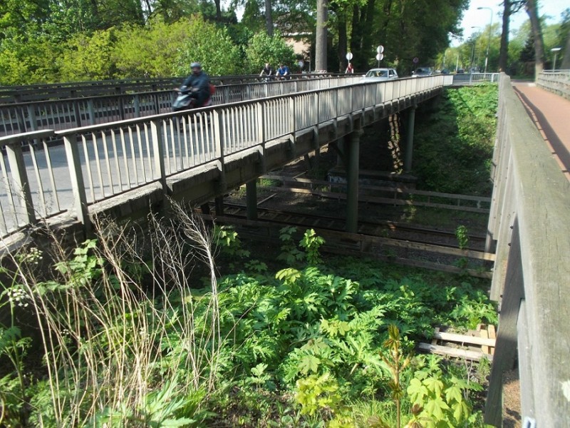 Esmarkerbrug Noord-Esmarkerrondweg  spoorbrug (2).JPG