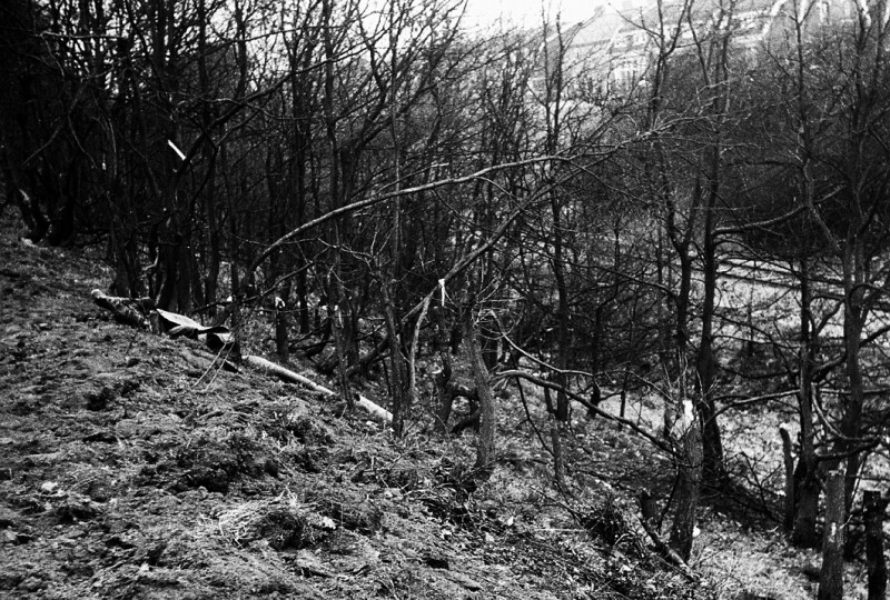 Oosterstraat 137 Nabij de Oostburgweg richting het oosten vuilstorting en vernieling bomen met het spoor naar Gronau 12-4-1963.jpg