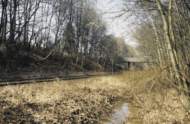 Oosterstraat Spoorlijn van Enschede naar Gronau 1996.jpeg