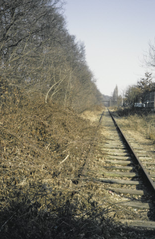 Lage Bothofstraat Kremersmaten Spoorlijn van Enschede naar Gronau. In oostelijke richting nabij Transburg, met Edo Bergsmabrug 1996.jpeg