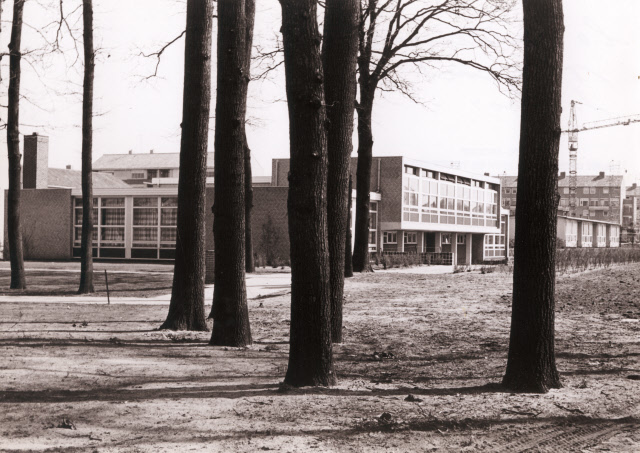 Rijnstraat 15 St.Willibrordusschool.jpeg