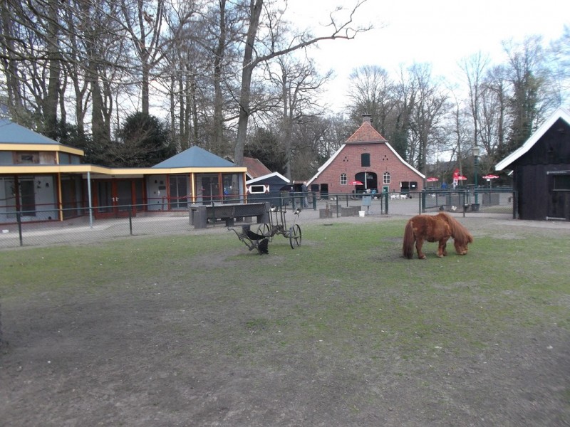 DSCF7843.JPG